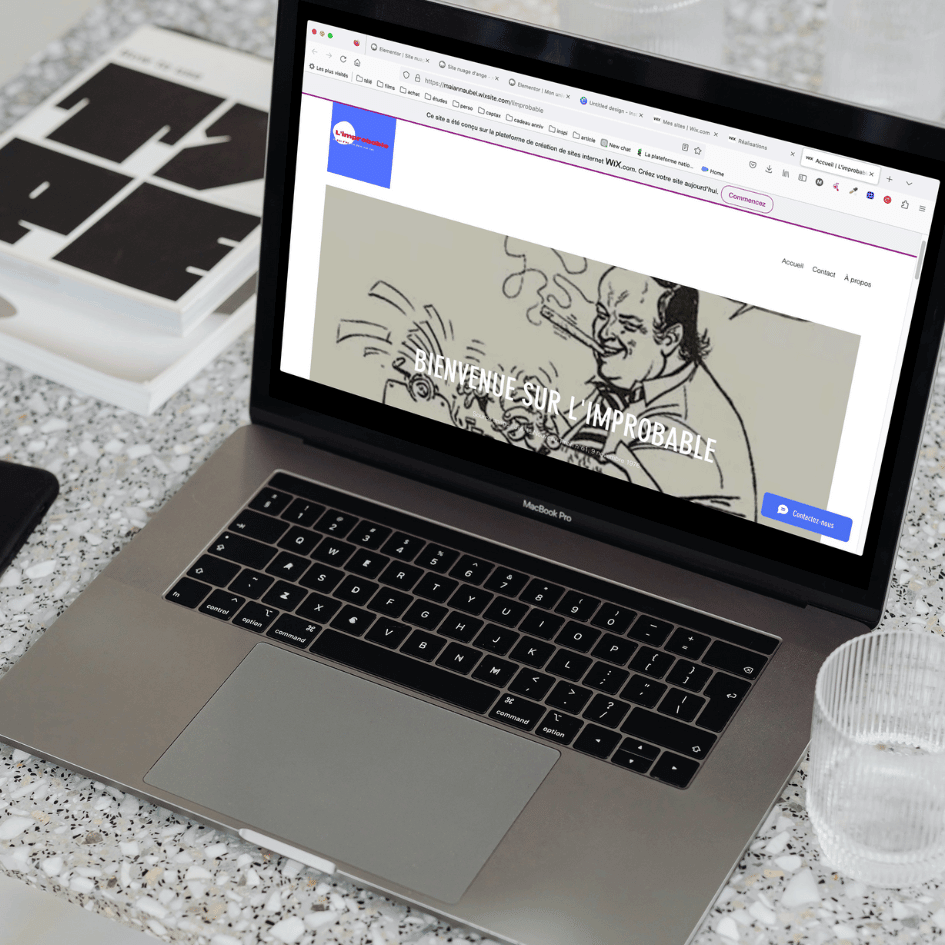 Réalisation d'un journal satirique en ligne